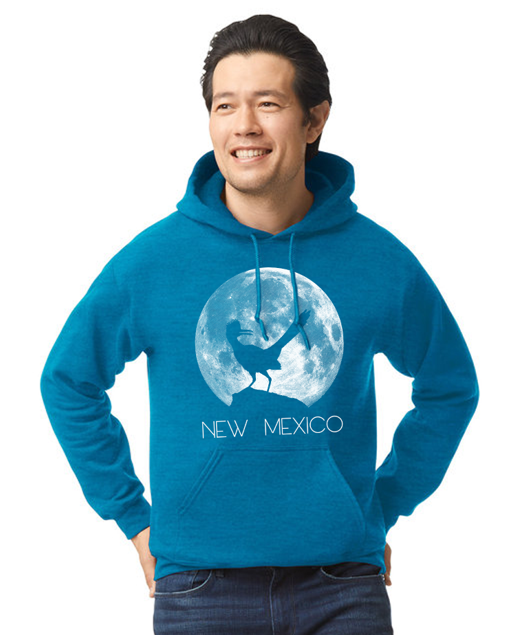 Roadrunner Moon | Pullover Hoodie | HD-183