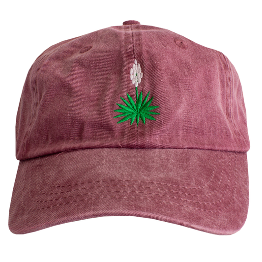 Yucca | Embroidered Hat | BCE-121