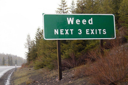 Weed Next 3 Exits Sign | Postcards | PC-488