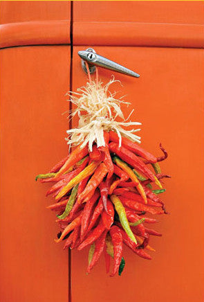 Chile Truck Art | Postcard | PC-504