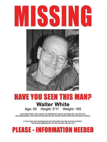 Missing Poster | Walter White | Mini Print | HB-101
