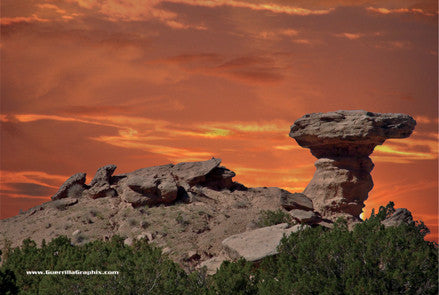 Camel Rock Monument | Postcards | PC-4051