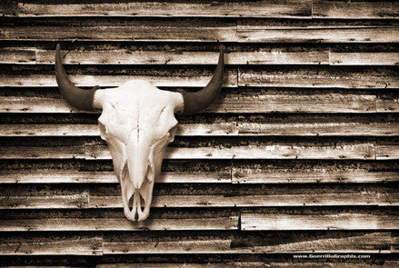 Buffalo Skull on Barn Wall | Postcards | PC-4060