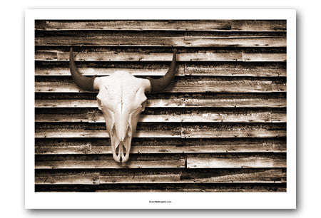 Buffalo Skull on Barn Wall | Art Print | ART-9040