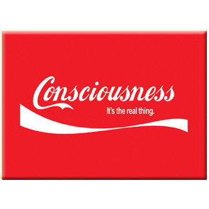 Consciousness - It's the Real Thing | Magnet | MA-39962