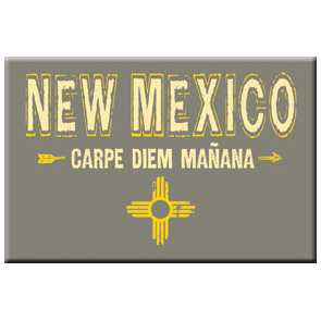 Carpe Diem Mañana | Magnet | MA-43210