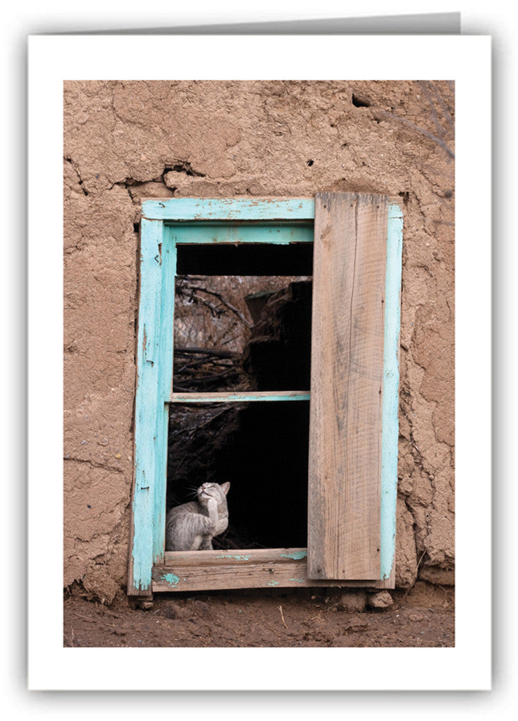 Mrs. Montoya's Cat | Greeting Card | NC-5025
