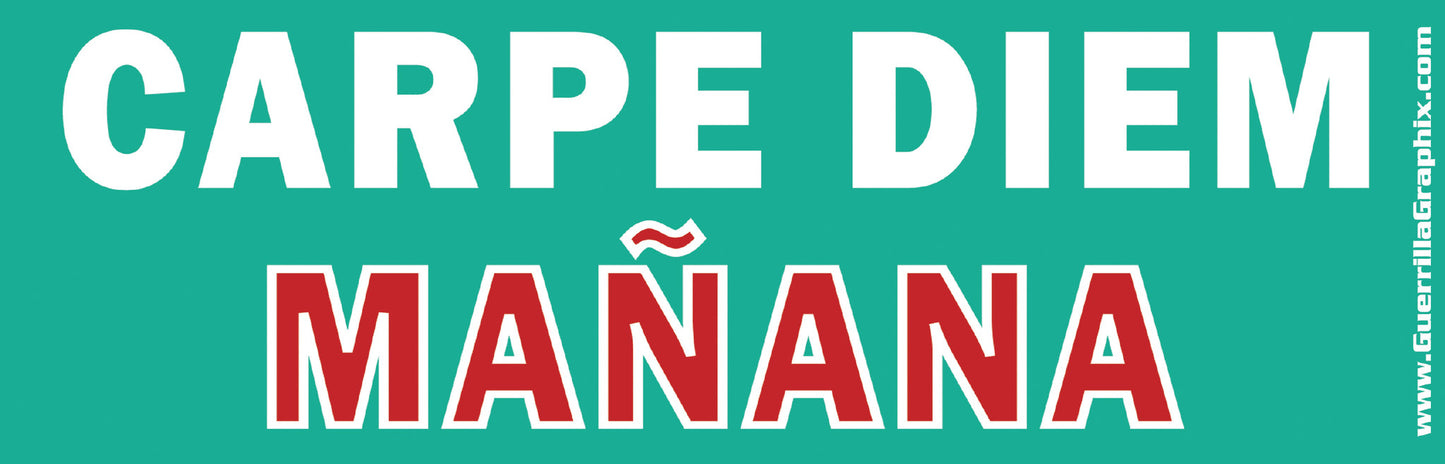 A gloss paper sticker with the text 'CARPE DIEM MANANA' printed in capital letters, predominantly in red color with a teal background.