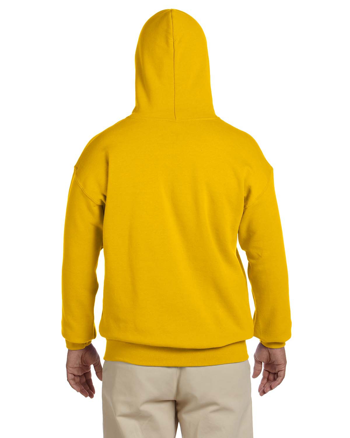 HD-133R Distressed Zia Pullover Hoodie