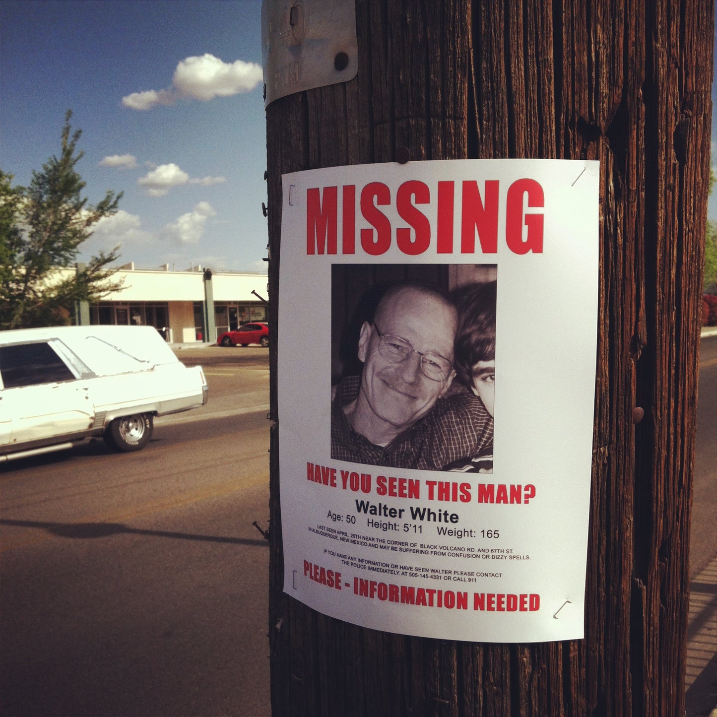 Missing Poster - Walter White Mini Print