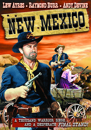New Mexico Movie Poster Postcard