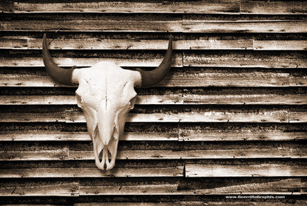 Buffalo Skull on Barn Wall Postcard