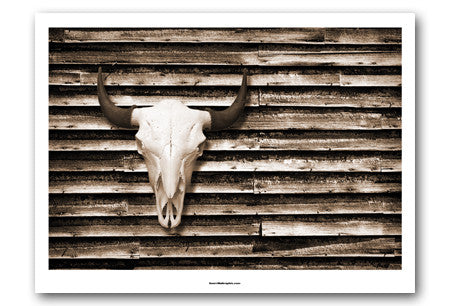 Buffalo Skull on Barn Wall Art Print