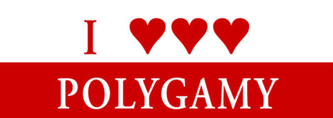 I Love Polygamy Sticker