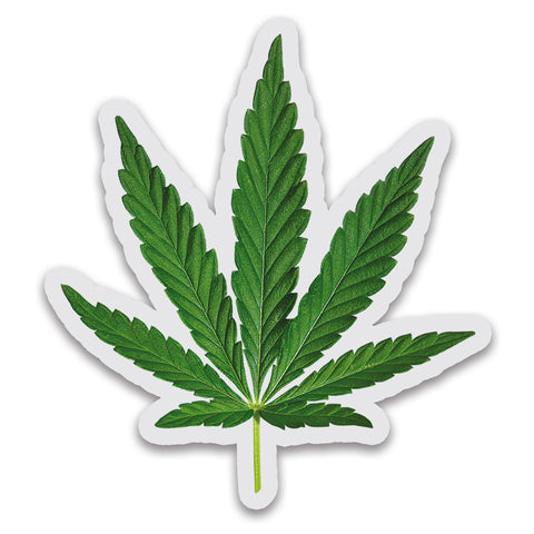 Marijuana Leaf - Clear Vinyl Sticker
